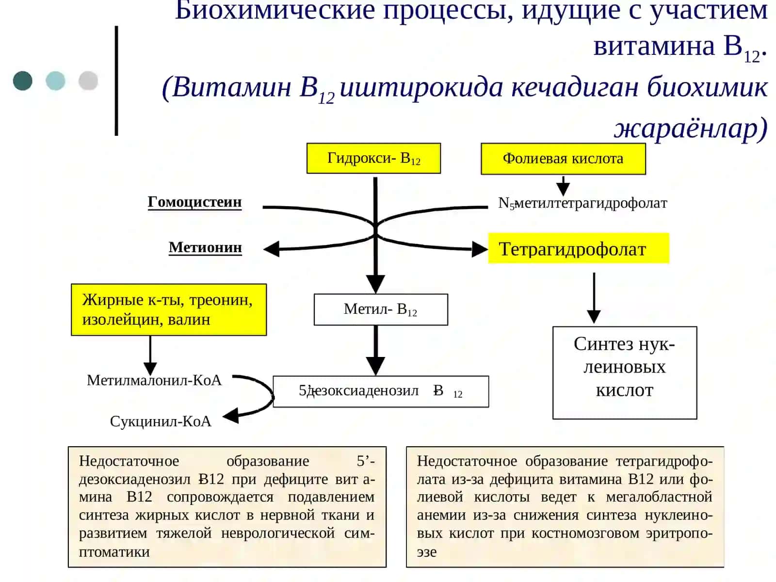 Мегалобластные анемии(Мегалобласт камконликлар) 4