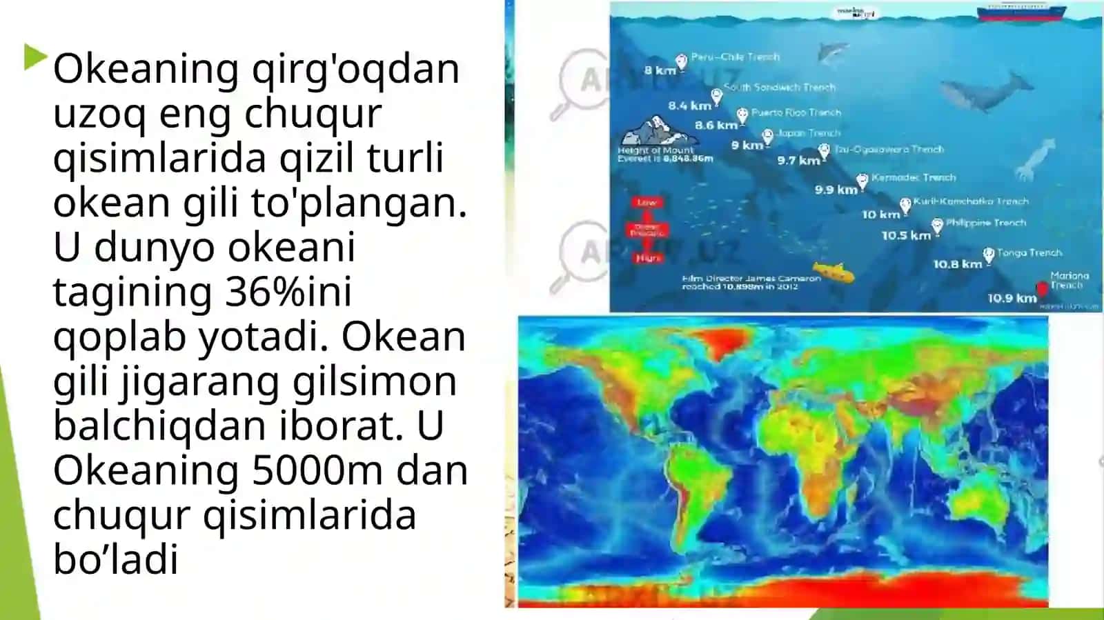 Geologik tuzulishi va relyefi 4