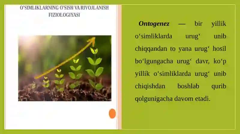 O`simlikning o`sishi, rivojlanishi, xosili va uning sifatiga ta`sir qiladigan omillar 4