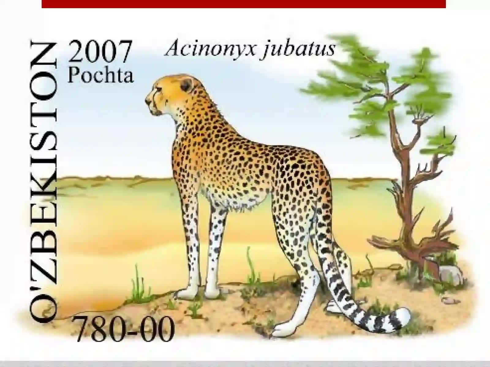 Qizil kitob 4