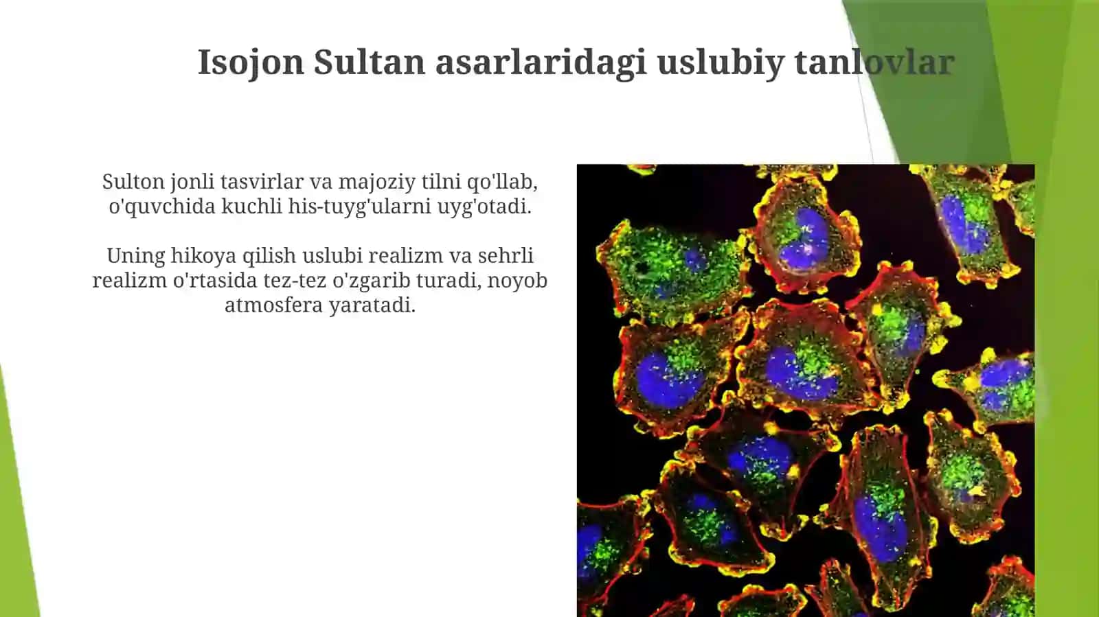 Isojonsultonningromanlartahlili 4