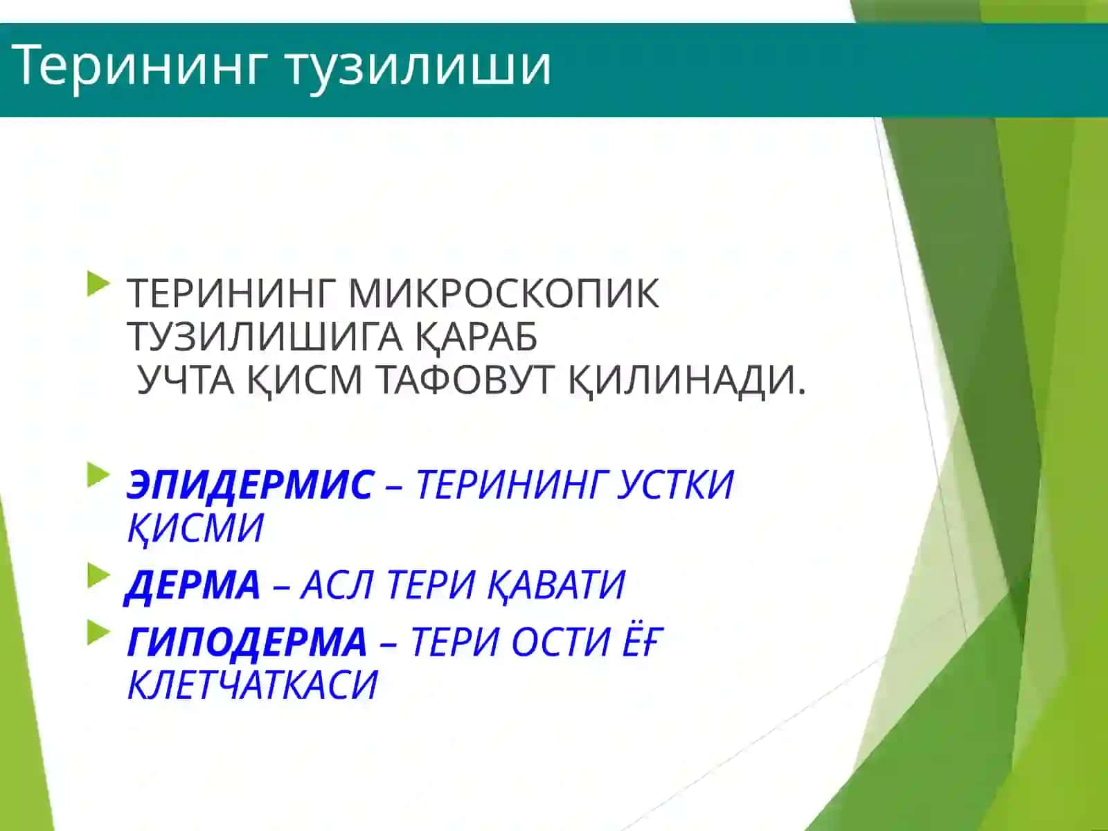 Дерматовенерология кафедраси 4