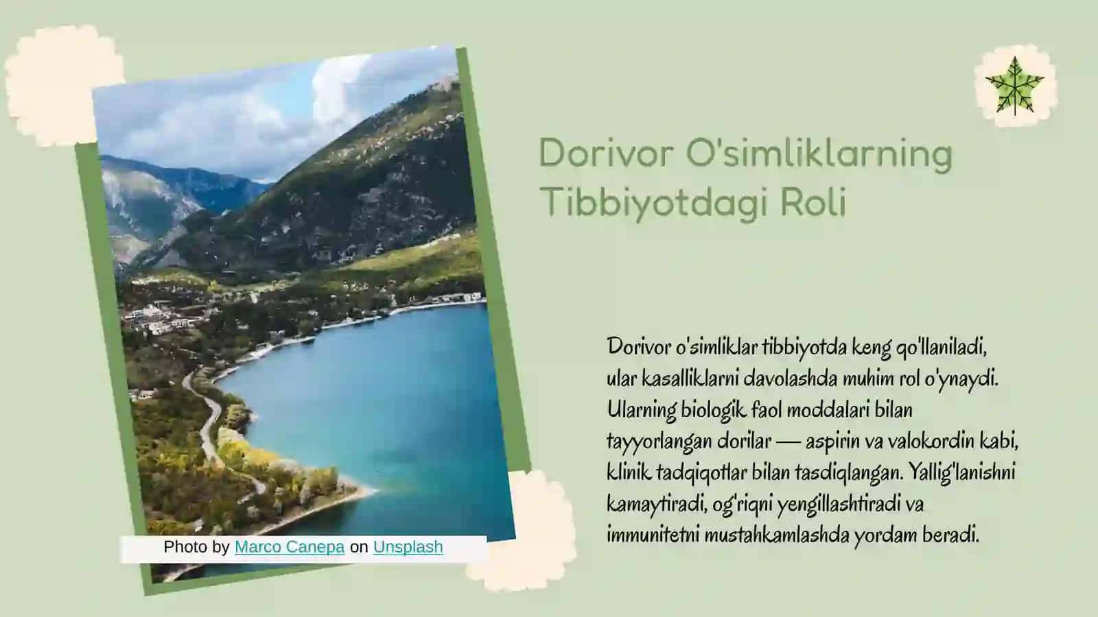 Mehnat-mehnatning tagi rohat. O'zbekistonning dorivor o'simliklari 4
