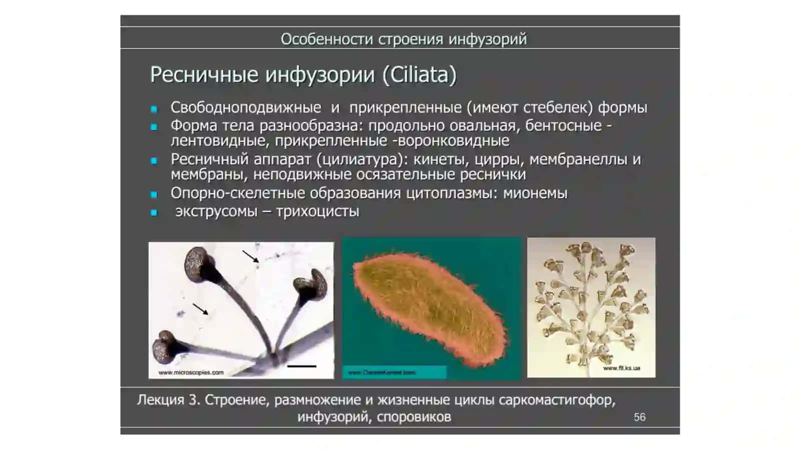 Туфелка 4