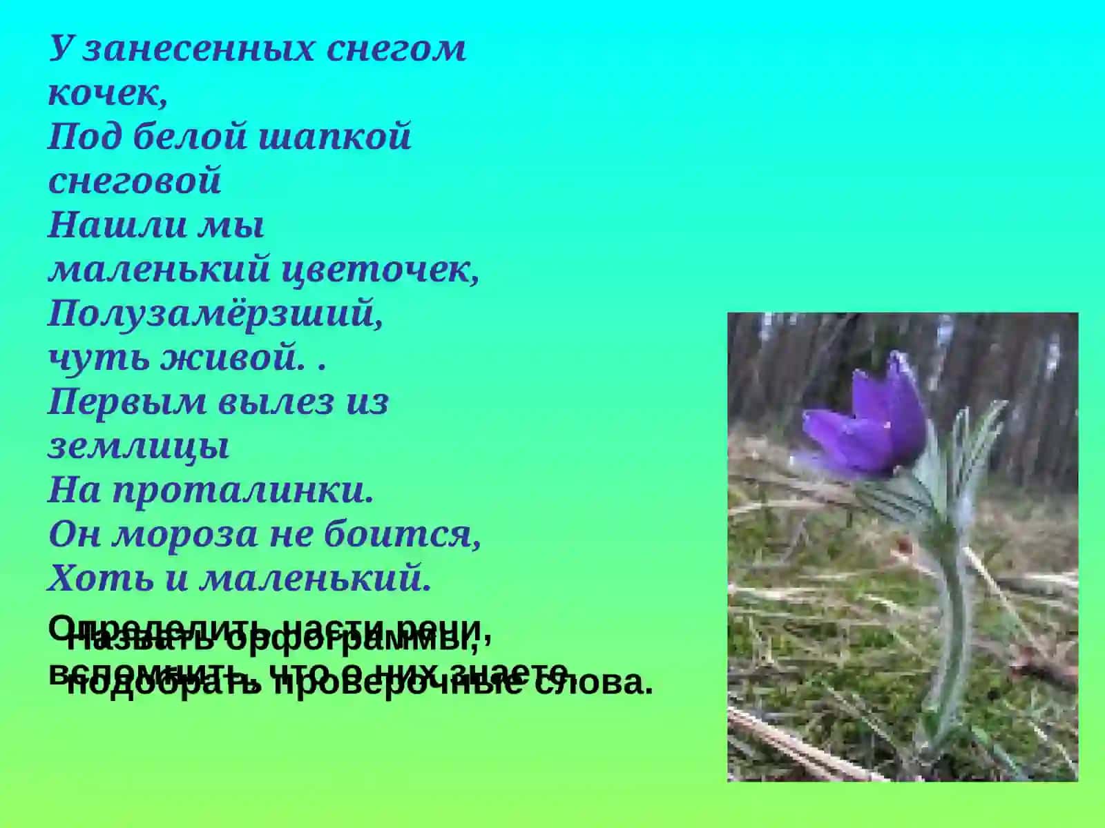 3 классУрок русского языка 4
