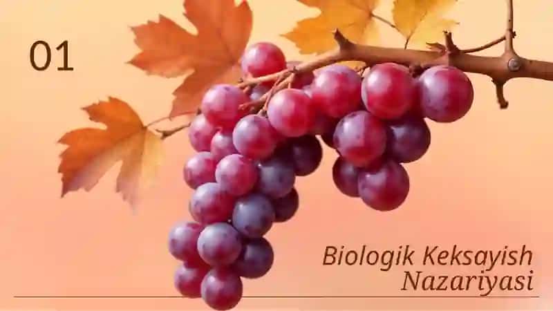Biologikkeksayish 4