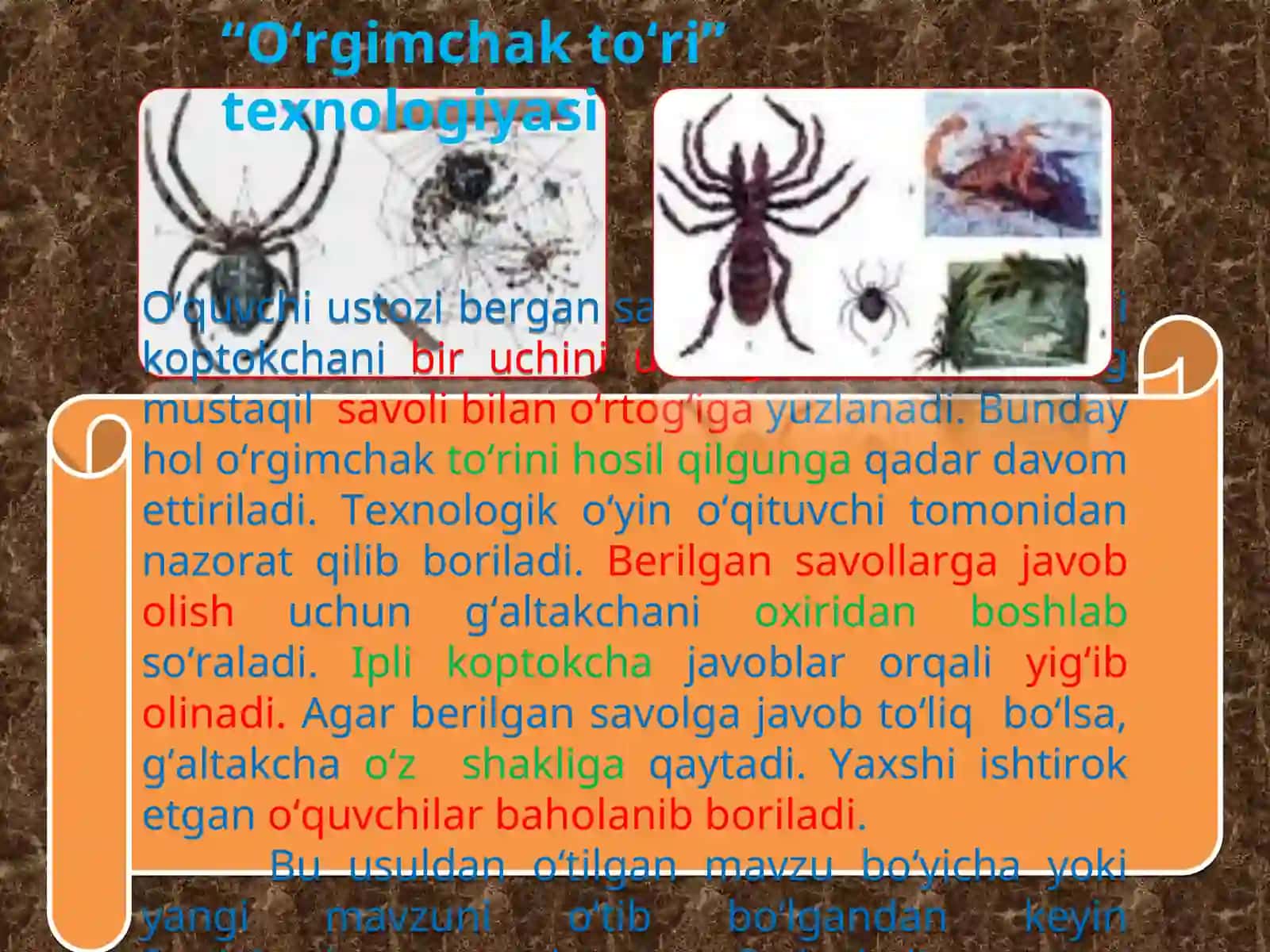 “O‘rgimchak to‘ri” texnologiyasi 4