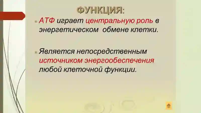 Презентация на тему: Физико-химические основы энергетики клетки 4