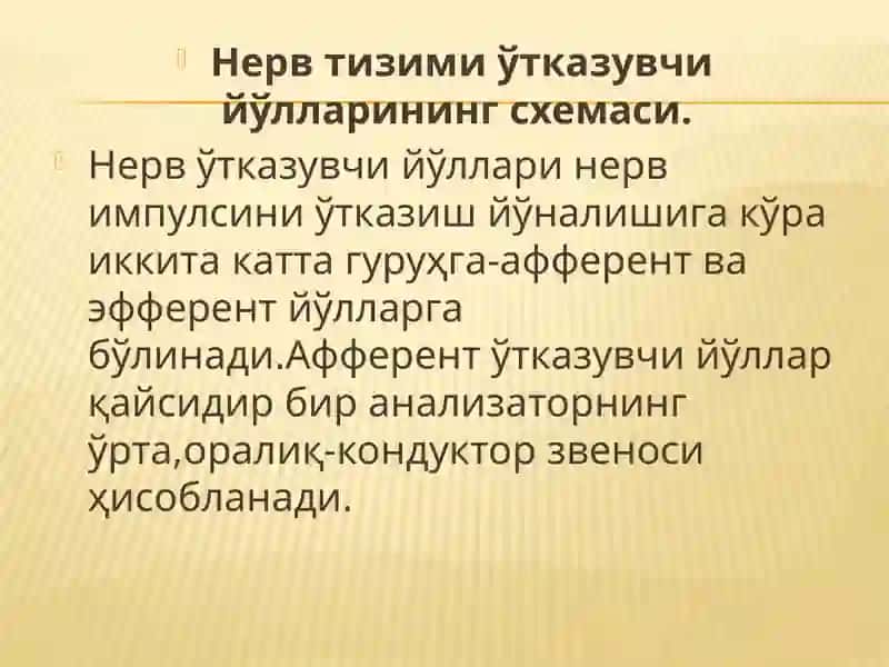 Бош мия пўстлоғи. Бош мия утказув йуллари 4
