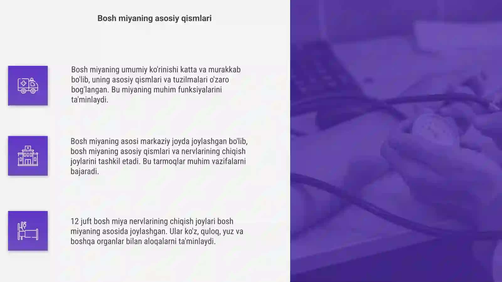 Bosh miyan [Bosh miyaning umumiy ko'rinishi] 4