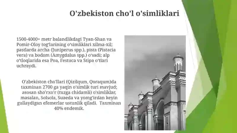 O'zbekistonning dasht o'simliklari 4