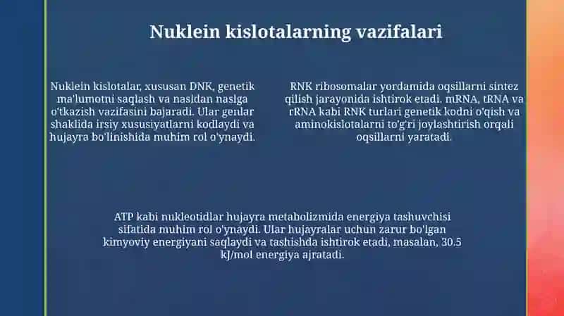 Nukleinkislotalar 4