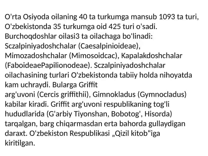 Burchoqdoshlar 4