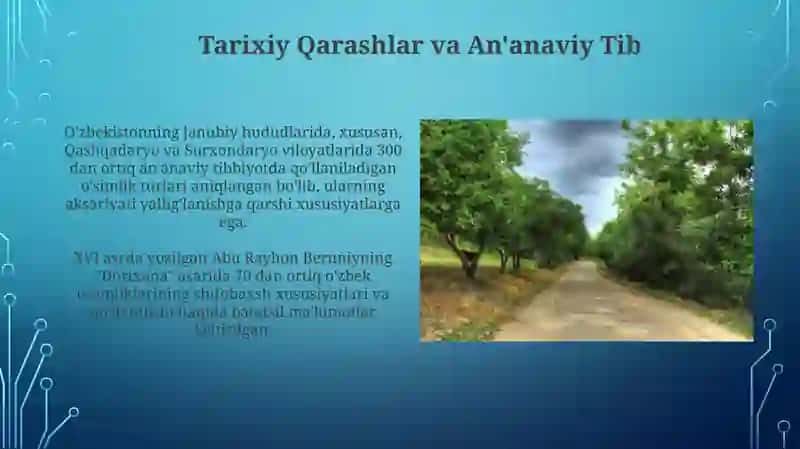 O’zbekistondagi shifobaxsh òsimliklari 4