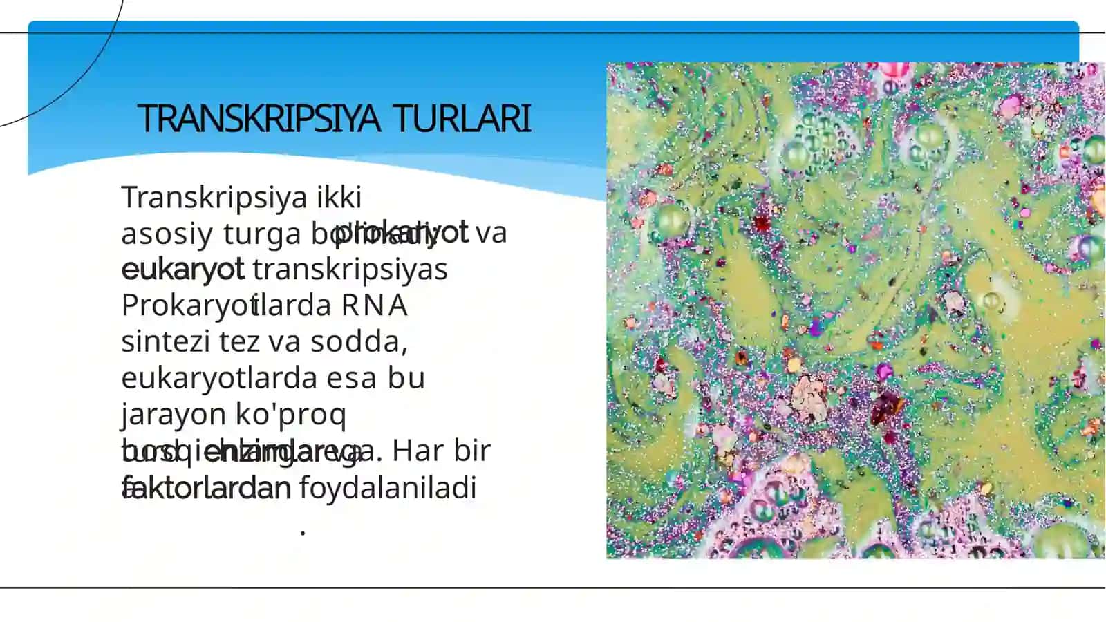 RNK Sintezi 4
