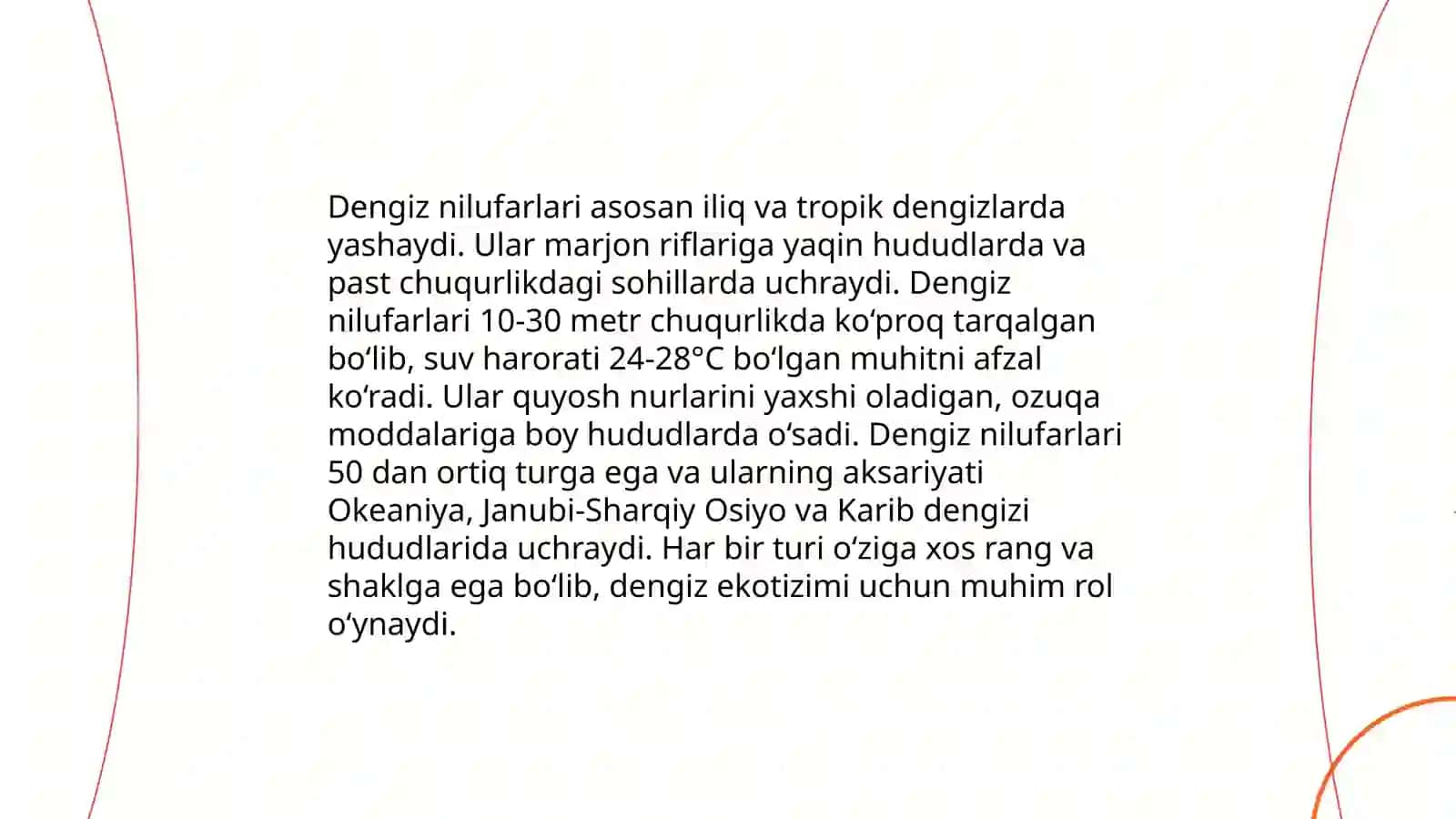 Dengiz nilufarlari 4