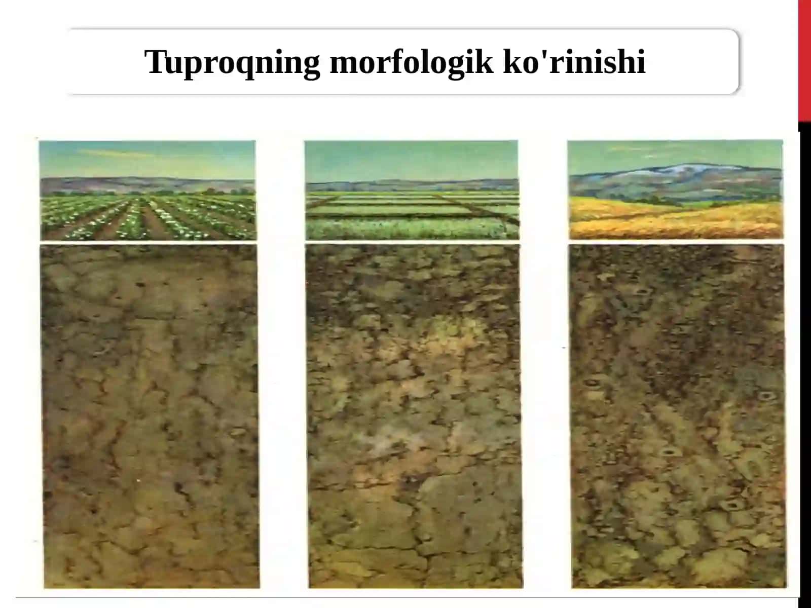 Tuproqshunoslik fanining maqsadi,vazifasi 4
