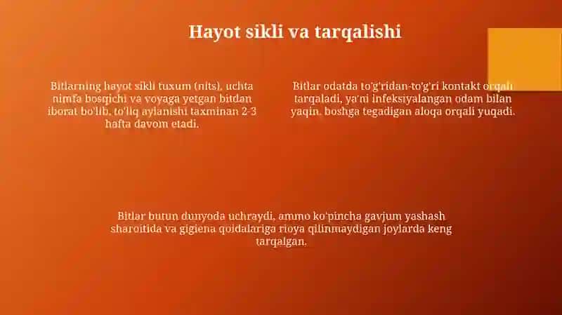 So'rg'ichlilar-odamparazitlari 4