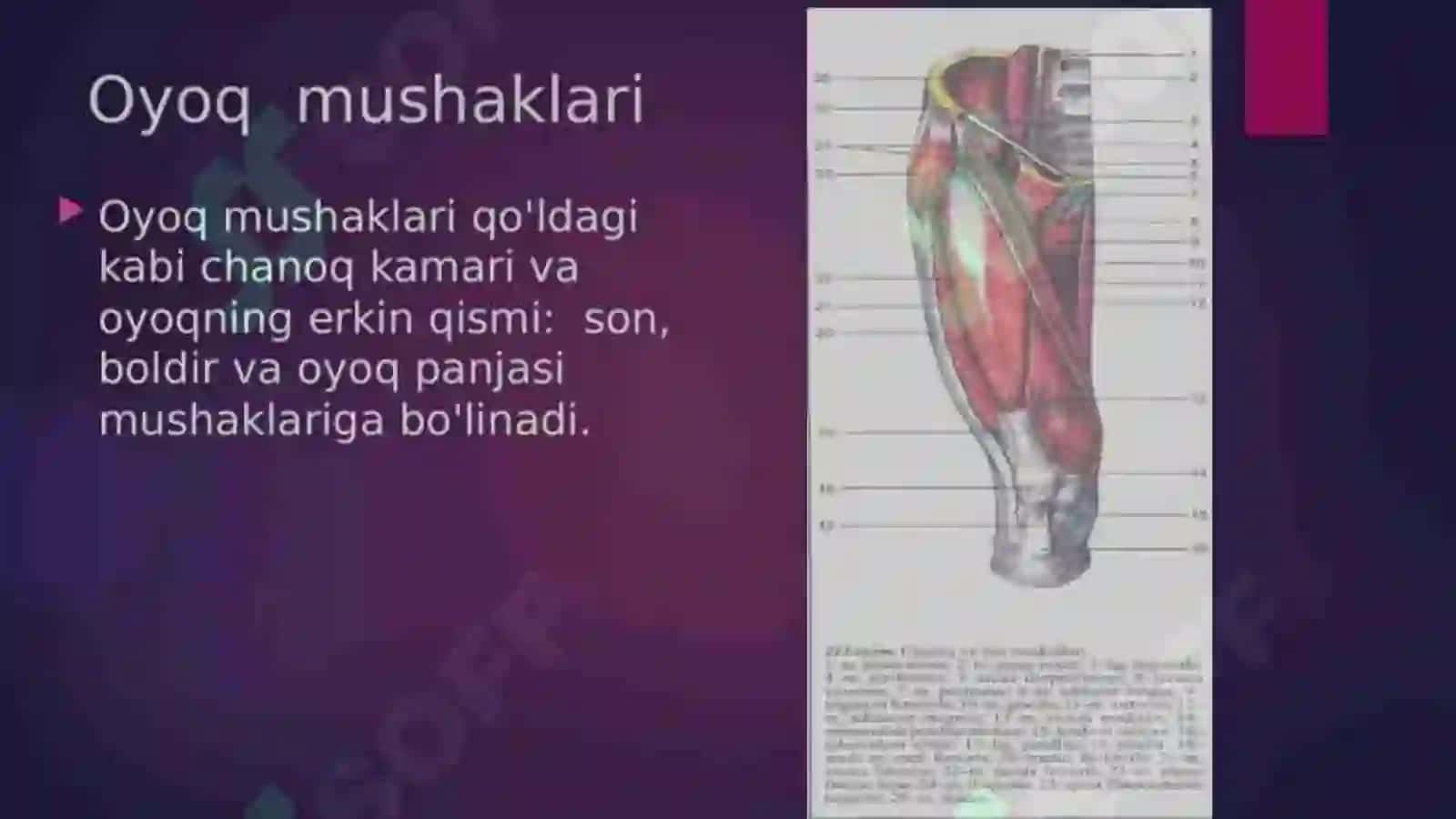 Koʻp Tarmoqli Tibbiyot Texnikumi 4