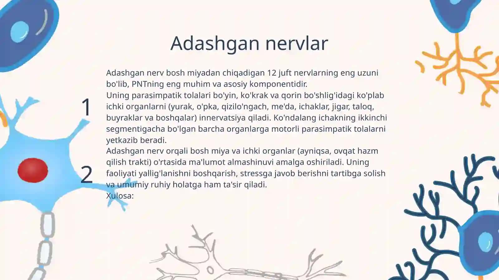 Parasimpatik nervlar 4