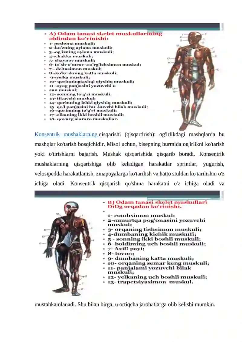 Muskul qisqarish apparati oqsillari 4