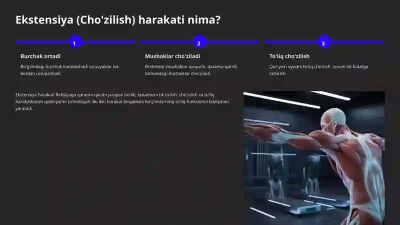 Bo'g'im Harakatlari: Fleksion va Ekstensiya 4