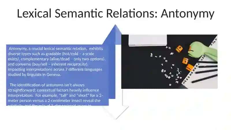 Types of meaning and lexical semantic meanings of words in lexicology 4