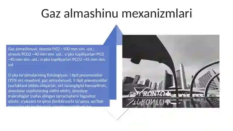Havo-qon to'sig'ining tuzilishi 4