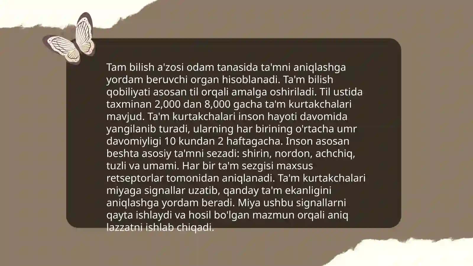 Tam bilish a'zosi anatomiyasi 4