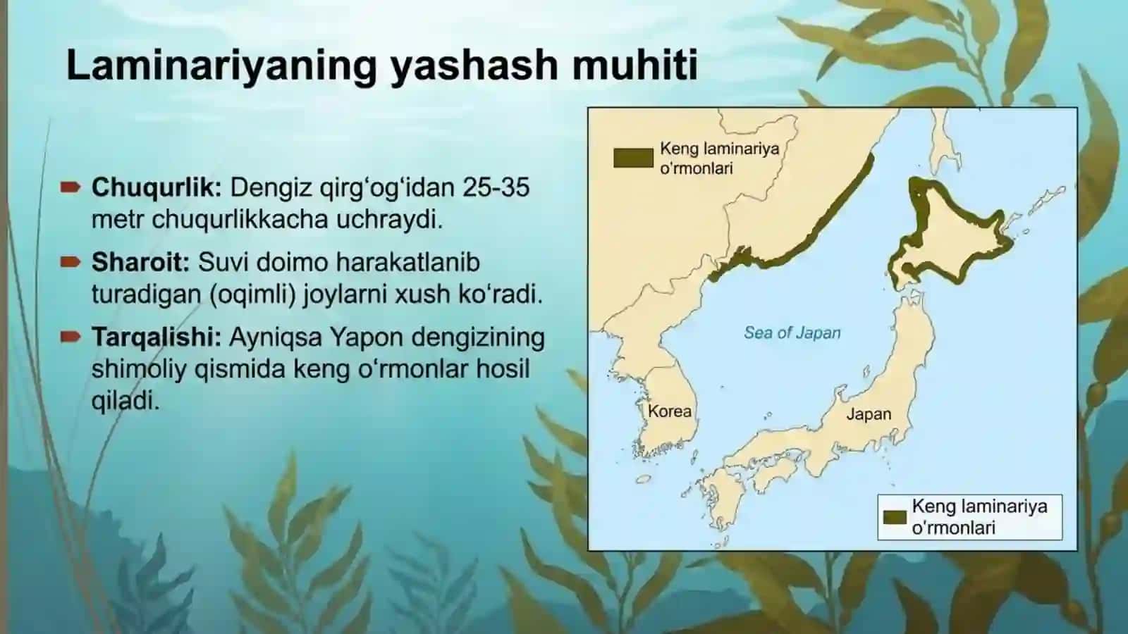 Qo'ng'ir va qizil suvo'tlar 4