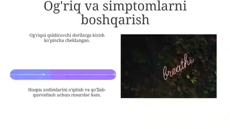 Rivojlangan mamlakatlarda xospislar faoliyati haqida 4