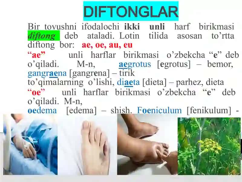 Lotin tilida tibbiy terminologiya o'qituvchisi 4