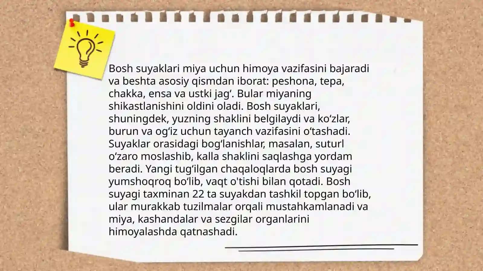 Bosh suyaklari 4