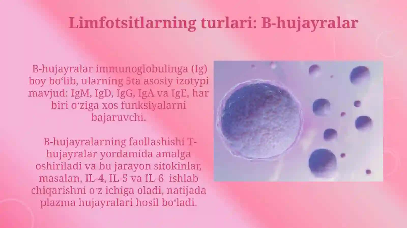 Leykositlar Fiziologiyasi 4