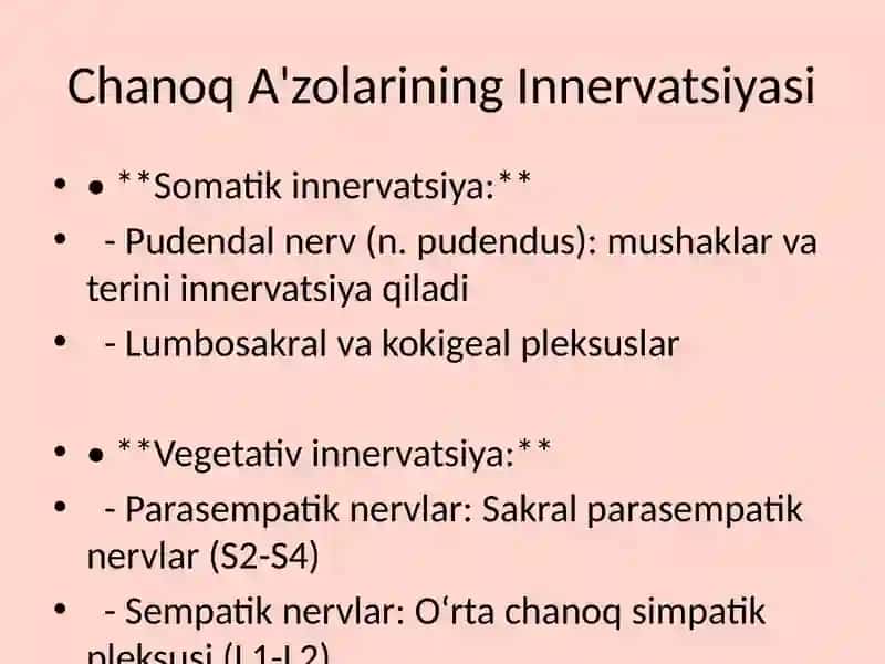 Chanoq A'zolari Innervatsiyasi va Kasalliklari 4