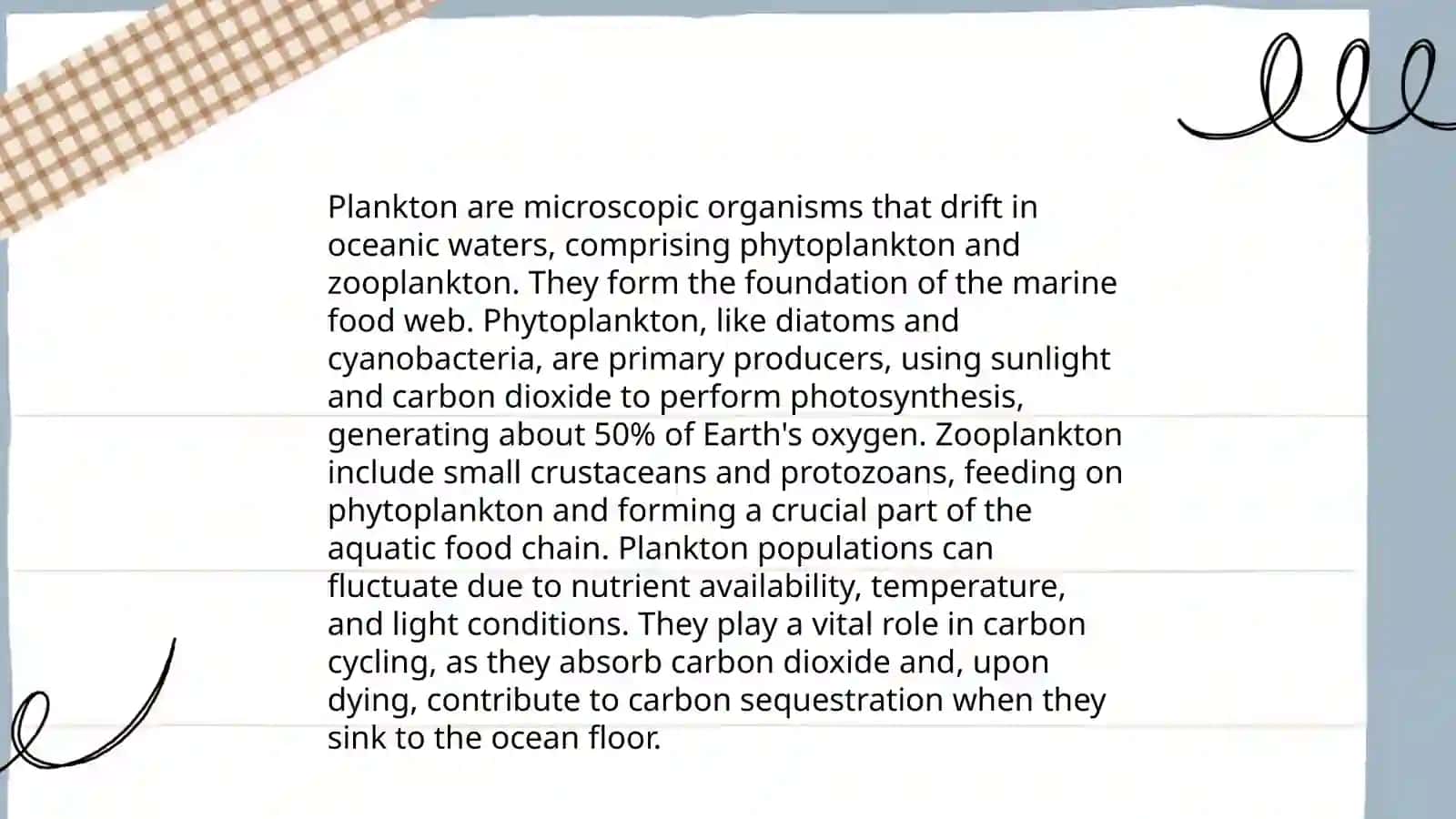 Ocean food chain for children 4