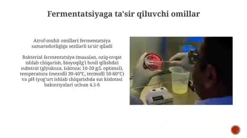 Bakteriya fermentatsiyasining sanoat qo'llanilishi 4
