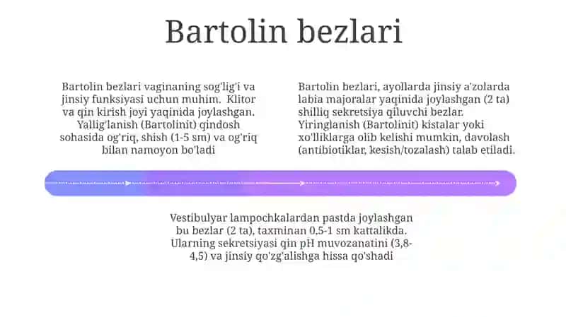 Ayollarjinsiytizimi 4