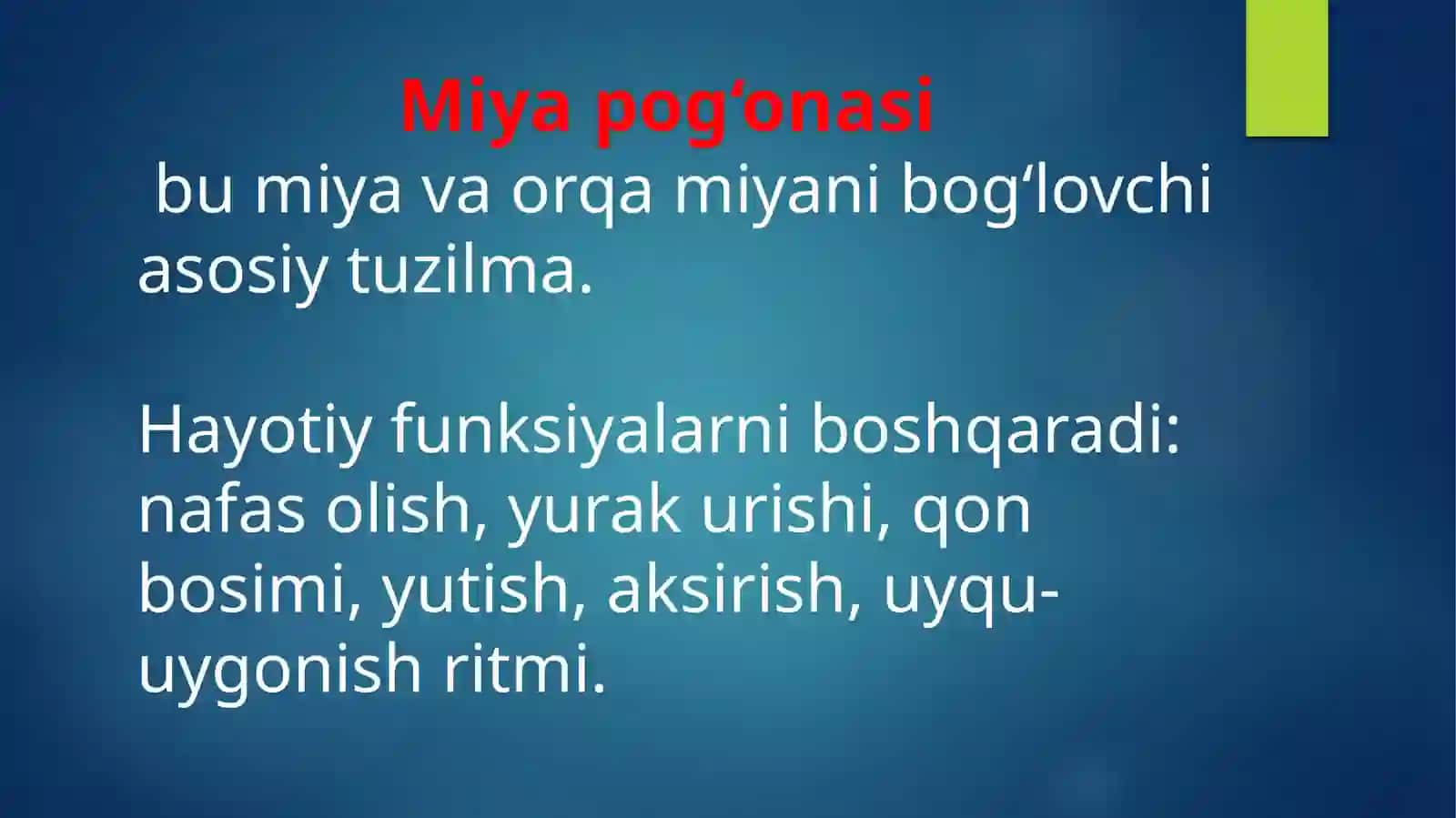 miya pog'onasi o'zaklari va ularning ahamiyati 4
