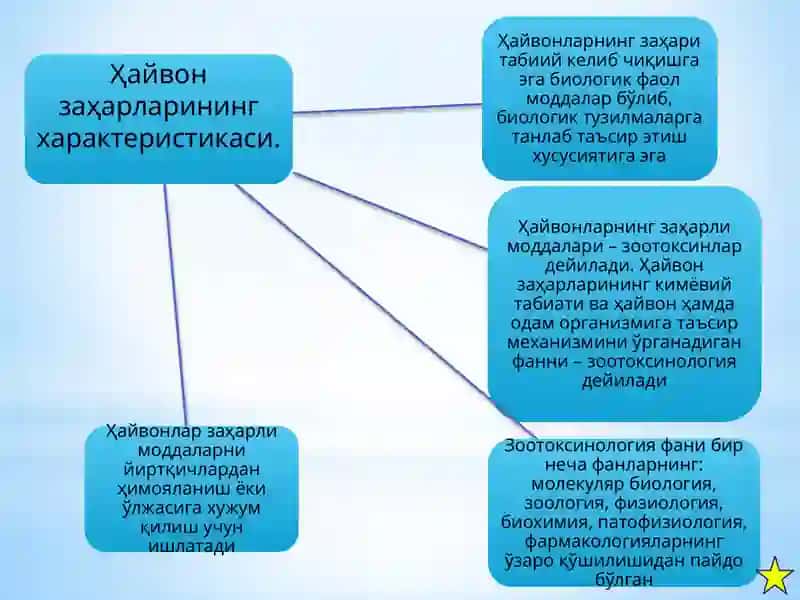 Заҳарли ҳайвонлар 4