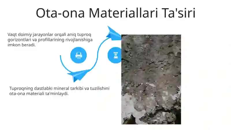 Tuproq geografiyasining shakllanish tarixi 4