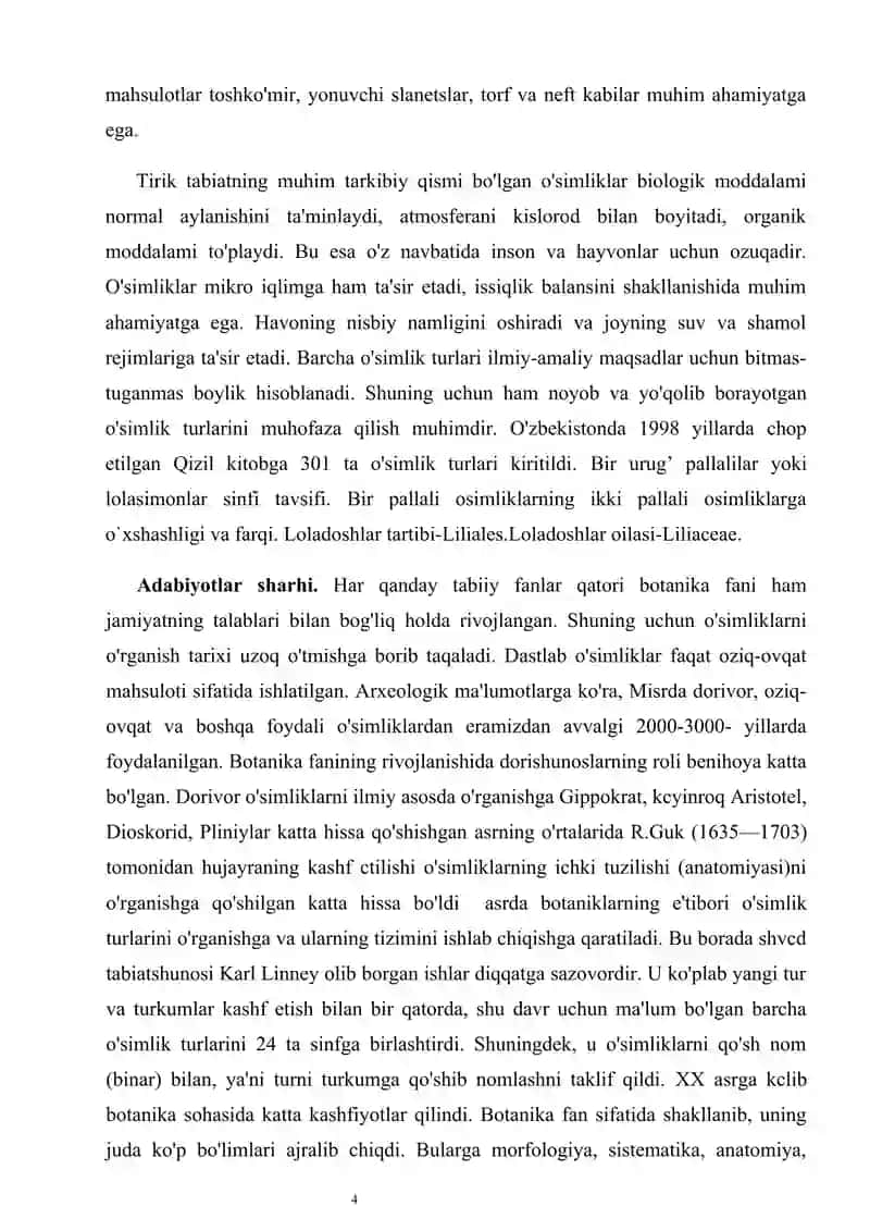 Loladoshlar oilasi kurs ishi botanika 4