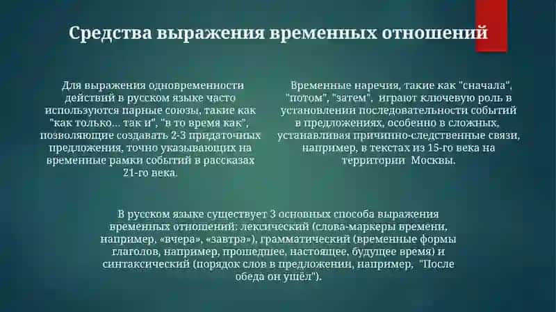Скелет туловища 4