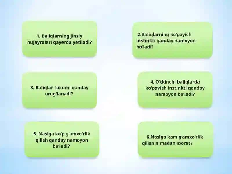 "Baliqlarning xilma-xilligi: tog’aylibaliqlar sinfi" 4