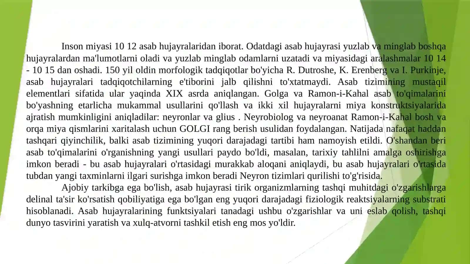 NervtizimiNeyrontarmoqlari 4