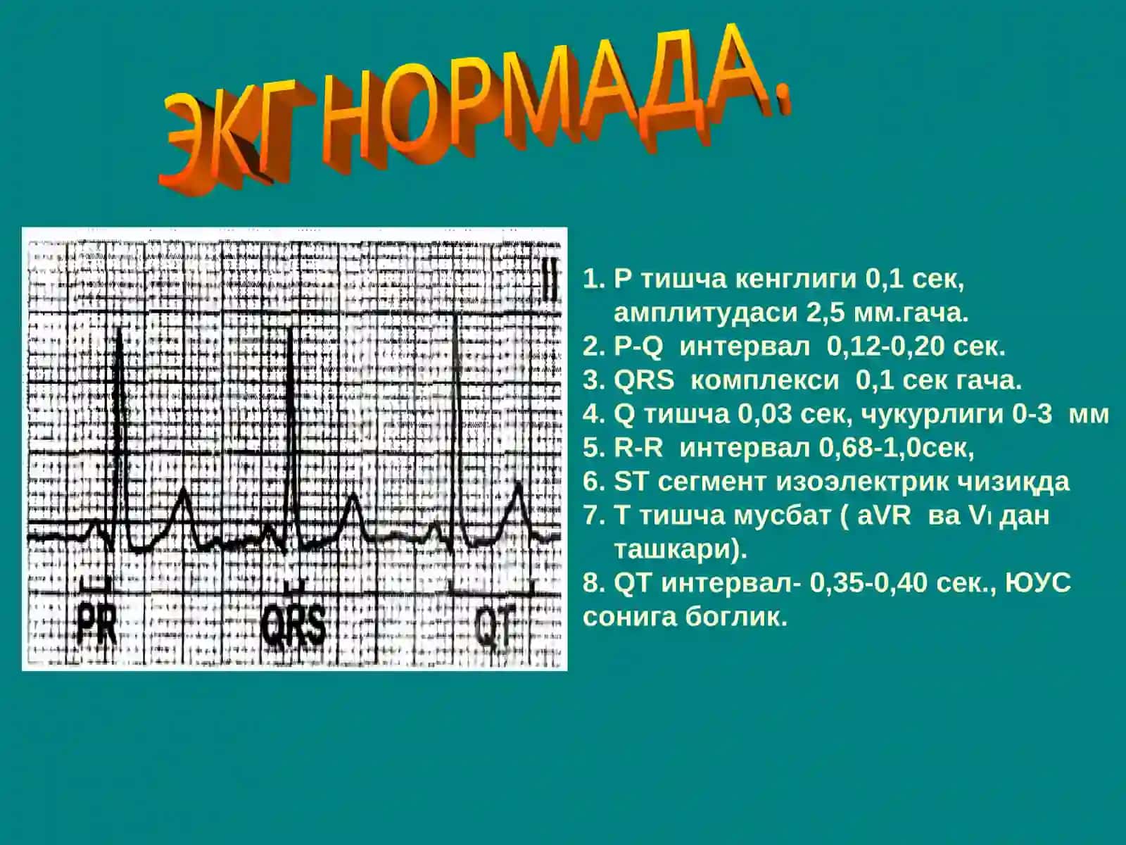 Юракнинг ўтқазувчи системаси 4
