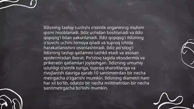 Ildiz tuzilishi va turlari 4
