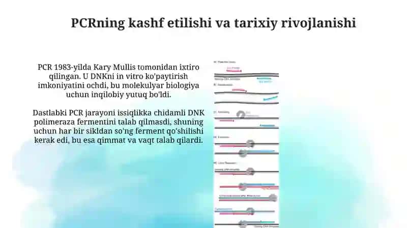 PCR texnologiyasi 4