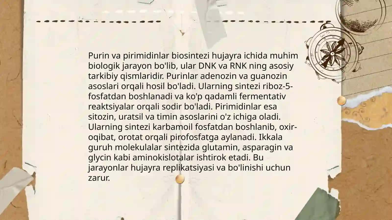 Purin va Perimedin asoslari 4