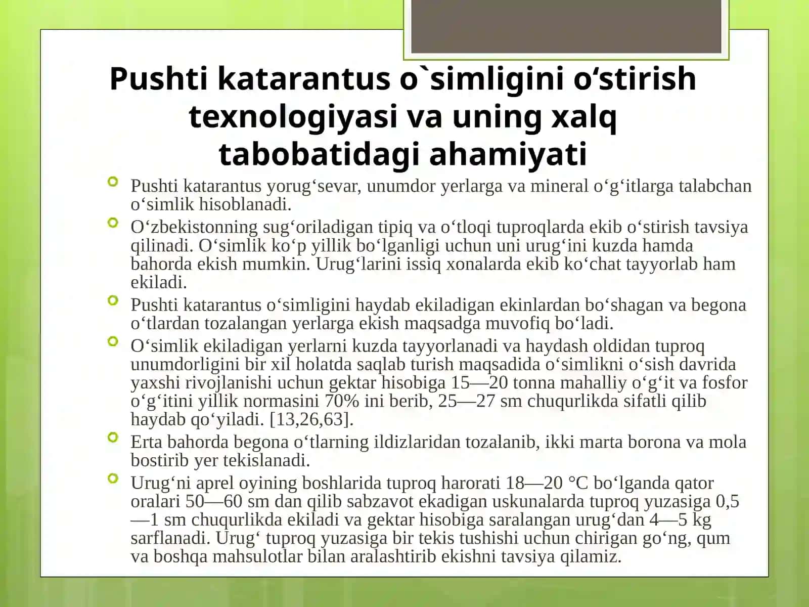 Pushti Katarantus (Cataranthus Rosesus)ning ekish muddatlari va madan o'g'itlar me'yorlari 4